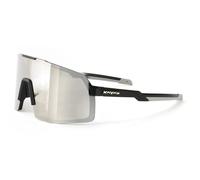 Bike goggles Hiplok 2976 Gris TU