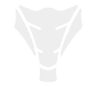 BIKE-label Tank Pad Transparent 3D Motorcycle Sticker Tank Protection Paint Protection X500385VA