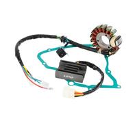Bike Stator For Suzuki 160 LT-F160 1989-1992 | Stator & Regulator Rectifier Gasket