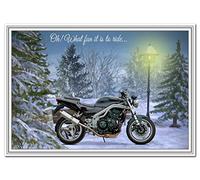 Biker Christmas Cards - Motorcycles Motorbikes Bikers - Son Grandson Boyfriend (2001 Speed Triple - Bikers Xmas Card)