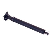 Bikeyoke Divine 2.0 Div185316 Dropper Seatpost Silver 485 mm / 31.6 mm 485 mm Black