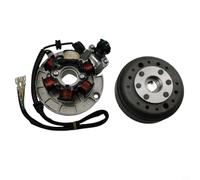 BildeeMait for Magneto Stator Coil for Lifan 140 140cc 1P55FMJ Engine, High Voltage Kick-Start Flywheel Kit