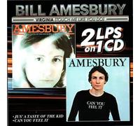 Bill Amesbury - Virginia (Touch Me Like You Do) (Jus' A Taste Of The Kid/Can You Feel It)