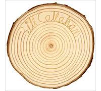 Bill Callahan - Rough Travel For Rare Thing