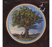 BILL FAY - COUNTLESS BRANCHES - New Vinyl Record 12 RECORD - 09 - N3447z