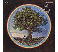 Bill Fay - Countless Branches [VINYL]