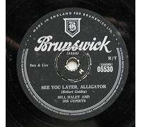 BILL HALEY & HIS COMETS - see you later, alligator 45 rpm single