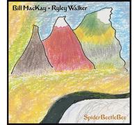 Bill MacKay & Ryley Walker - Spiderbeetlebee