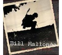 Bill Mallonee - My Year In Review (US Import)