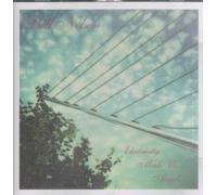 Bill Nelson - Electricity Made Us Angels