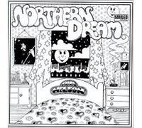 Bill Nelson - Northern Dream
