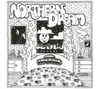 Bill Nelson - Northern Dream
