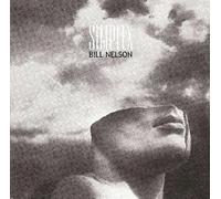 Bill Nelson - Simplex