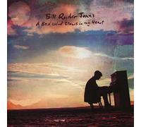 BILL RYDER-JONES - A BAD WIND BLOWS IN MY HEART - CD ALBUM - 08 - B123z