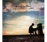 Bill Ryder-Jones - Bill Ryder-Jones: A Bad Wind Blows In My Heart [2xWinyl]