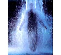 Bill Viola