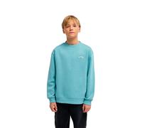 Sweatshirt child Billabong Arch CR Y Bleu 16 ans
