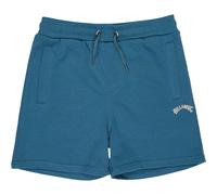 Billabong Arch Shorts