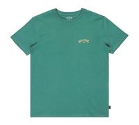 Billabong - Arch Wave Ss Screen Tee for Boys - Sagebrush Green - 16 Years