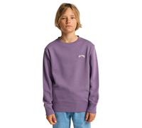 Billabong Boys All Day Theme Sweater, Dusty Grape, 12 Years EU