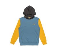 BILLABONG Boy's Arch Block Po Lt Pullover Sweater (pack of 1)
