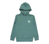 BILLABONG Boy's Foundation Po Kids Sweater (Pack of 1)