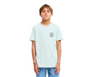 Billabong Boy's Tides T-Shirt, Vintage Green, 16 Years