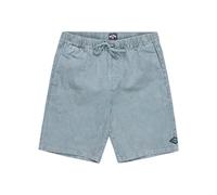Billabong Elastic Waist Shorts Larry Cord Young Mens Blue XL