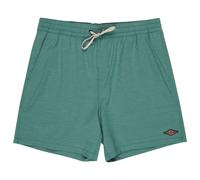 Billabong Every Other Day Swimming Shorts Green L Man