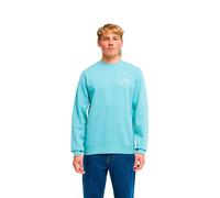 Billabong Foundation Ebysf00188 Sweatshirt