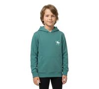 Child hoodie Billabong Foundation Po Vert 16 ans