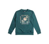 Billabong Kids Foundation Pullover Sweatshirt Jumper Graphic Print Crew Neck