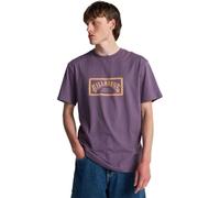Billabong Mens Arch Frame T-Shirt, Dusty Grape, XL EU