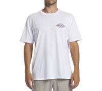 Billabong Men's Crayon Wave Ss T-Shirt (Pack of 1)
