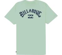BILLABONG Short Sleeve T-Shirt All Day Theme Mens Green
