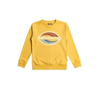 Billabong Sweater Foundation CR Youth Yellow M