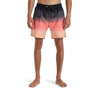 Billabong All Day Fade Swimming Shorts