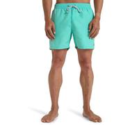 Billabong Swim Shorts All Day LB Mens Green XL
