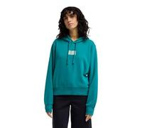 Billabong Womens Family Hoodie Pullover Sweater, Ivy, XL EU