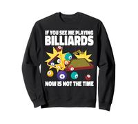 Billiards Pool Player Ball If You See Me Playing Billiards Sweatshirt