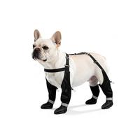 BillionChains Dog Boots with Adjustable Suspender, Anti-Slip Dog Shoes, Waterproof Paw Protector for Rainy, Snowy, Hot Pavement, M