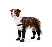 BillionChains Dog Boots with Adjustable Suspender, Anti-Slip Dog Shoes, Waterproof Paw Protector for Rainy, Snowy, Hot Pavement, L