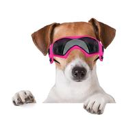 BillionChains Dog Glasses with Adjustable Strap, Dog Sunglasses, UV Protection, Windproof, Dog Glasses for Dogs, Pink
