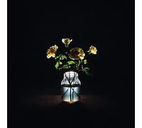 Billy Strings Renewal (CD) Album (US IMPORT)