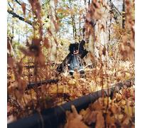 billy woods - GOLLIWOG
