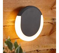 BillyOh Biard Crescent Halo Led Large Circular Outdoor Wall Light