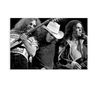 BILQAHT Lynyrd Skynyrd Concert Poster, Allen Collins, Ronnie Van Zant, Gary Rossington Canvas Poster Bedroom Decor Landscape Office Room Decor Gift 12x18inch(30x45cm)