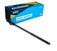 Bilstein 18-140644 Steering Damper