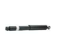 BILSTEIN 19-100180 Shock absorber