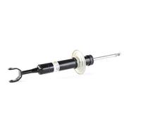 BILSTEIN 19-119939 Shock absorber